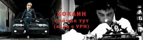 ешки Бронницы