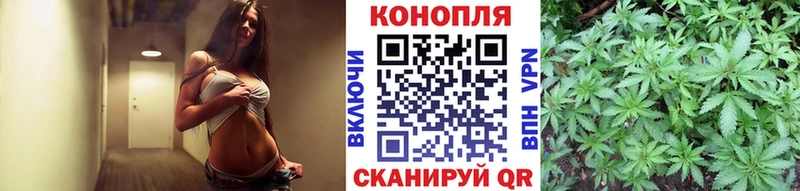 Конопля семена  Купить где  Бежецк 